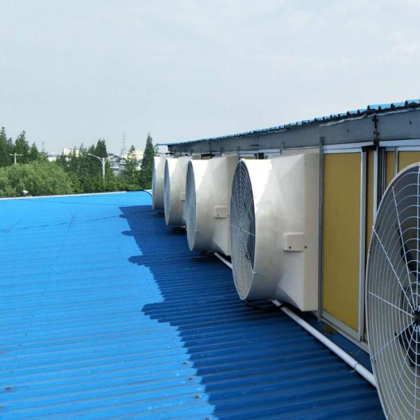 พัดลมออกโรงเลี้ยงสัตว์ ด้วยปริมาณอากาศ 56.4m3/h และกระแสไฟฟ้า 1.8A