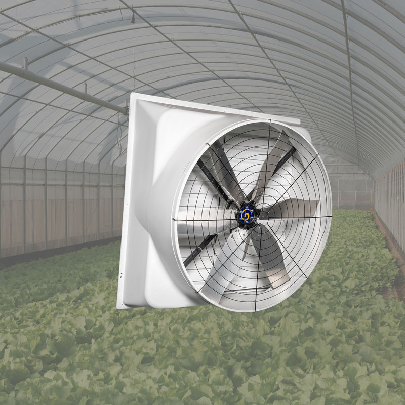 พัดลมไก่ชนทรงพลัง กำลังไฟเข้า 850w ความเร็วลม ยึดติดกับโครงบนผนัง