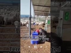 การอนุรักษ์ความร้อน ถังน้ําปศุสัตว์ สําหรับการจัดหาน้ําที่น่าเชื่อถือ ความจุ 200 กิโลกรัม