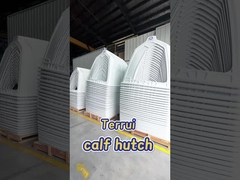 สัตว์เลี้ยง สัตว์เลี้ยงนม ลูกวัว หลังบ้าน อายุยาว การใช้ อุปกรณ์การเลี้ยง