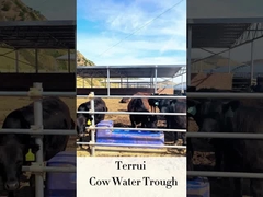 เครื่องให้น้ำปศุสัตว์อัตโนมัติ