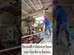 ความเร็วแปร 120cm REFINE แฟนอากาศ 56.4m3/h ปริมาณอากาศ 48000m3/h ความจุของอากาศ