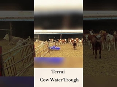 เครื่องชําระน้ําอัตโนมัติสําหรับปศุสัตว์ที่มีความสูงในการดื่ม 250 มิลลิเมตร