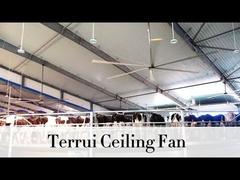 9.53m3/min กระแสอากาศ พัดลมเพดานอุตสาหกรรม 14300 m3/min ผลิตสูงสุด