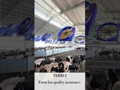 72พัดลมปานลื่นลมปานลมปานลมปานลมปานลมปานลมปานลมปานลมปานลมปานลมปานลมปานลมปานลม