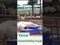 ถังน้ําปลูกสัตว์พลาสติกสีฟ้า 85L กันคอโรรชั่น