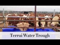 ถังน้ําหนักสีฟ้า 85 ลิตร พร้อมเชือกสับ 3/4