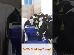 อัตราการไหลของน้ํา 120L/นาที โพลีเอธีเลนทนทาน ถังน้ําดื่มวัว