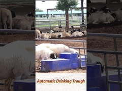 อัตราการไหลของน้ํา 120 ลิตร/นาที ถังน้ําดื่มวัว 150 ลิตร ความจุในการผลิตเกษตร