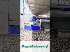 ถังดื่มวัวขนาด 60 ลิตร ขนาด 170*48*46 ซม เหมาะสําหรับฝูงสัตว์ขนาดใหญ่