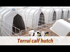 บ้านลูกวัวที่มีอากาศสําหรับลูกวัว