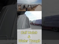 220*145*145cm สี่เหลี่ยม หมูเลี้ยงนม เพื่อเสริมสุขภาพและสวัสดิการ