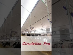 ประหยัดพลังงานและพัดลมอุตสาหกรรมด้วย 2000w / 2.7hp