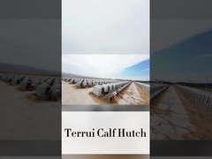 220*145*145เซนติเมตร สีขาว หมูลูกนม เหมาะสําหรับความต้องการการเกษตร