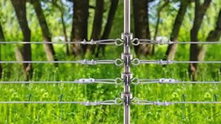 รักษาความปลอดภัยปศุสัตว์ของคุณ: วิธีติดตั้งฉนวน T-Post บนรั้วไฟฟ้า