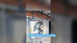 การระบายอากาศความเร็วสูง: การทำงานของพัดลมดูดอากาศอุตสาหกรรม Terrui