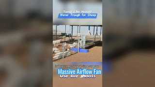 รางน้ำปศุสัตว์แบบให้ความร้อน 1.7 ม. ทำจากโครงพลาสติกที่ทนทานเพื่อทนต่อสภาพอากาศหนาวเย็นจัด